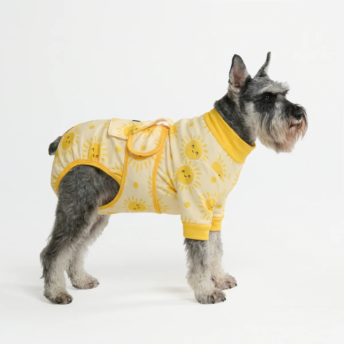 犬用術後ウェア - サンシャイン - Image 3