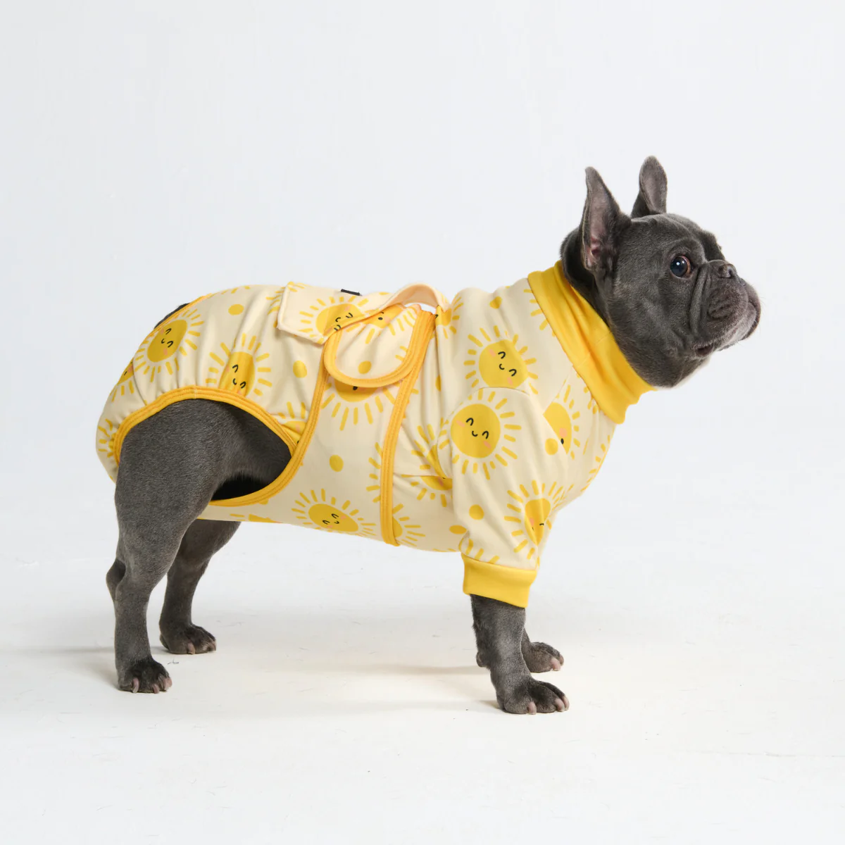 犬用術後ウェア - サンシャイン - Image 4