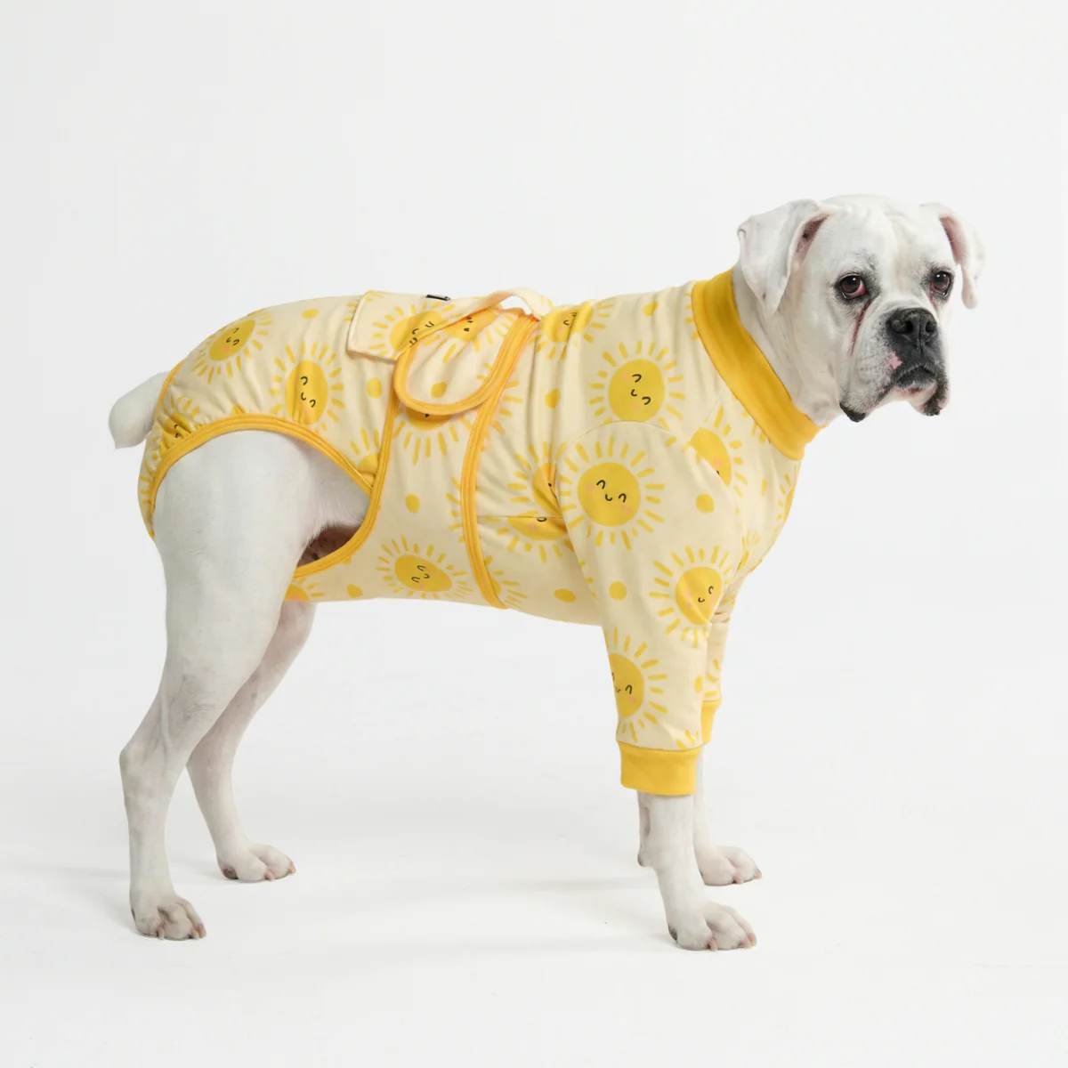 犬用術後ウェア - サンシャイン - Image 5