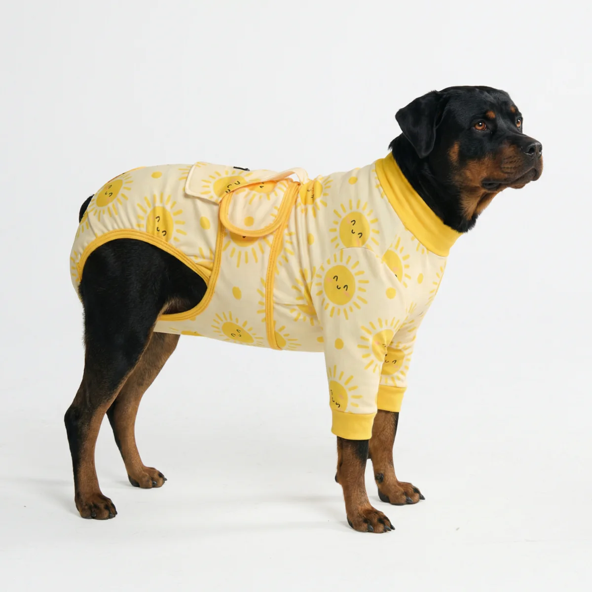 犬用術後ウェア - サンシャイン - Image 6