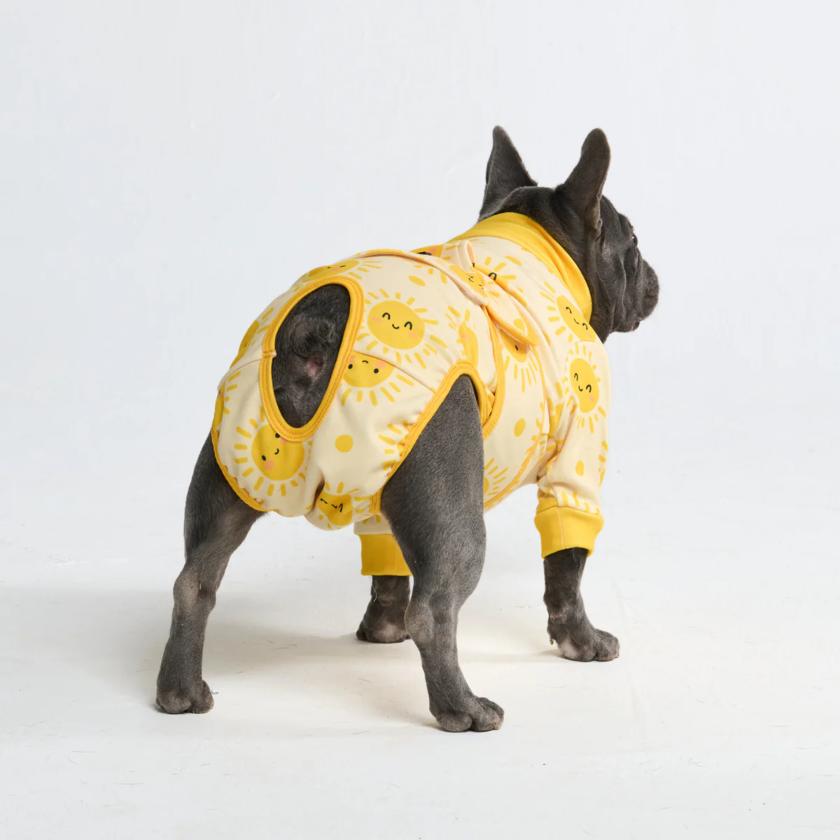 犬用術後ウェア - サンシャイン - Image 10