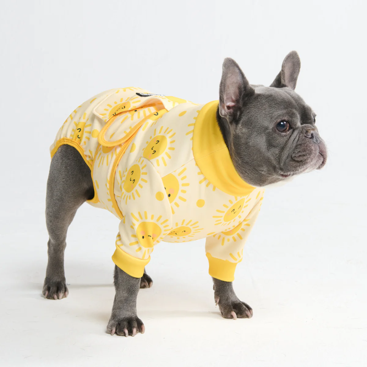 犬用術後ウェア - サンシャイン - Image 11