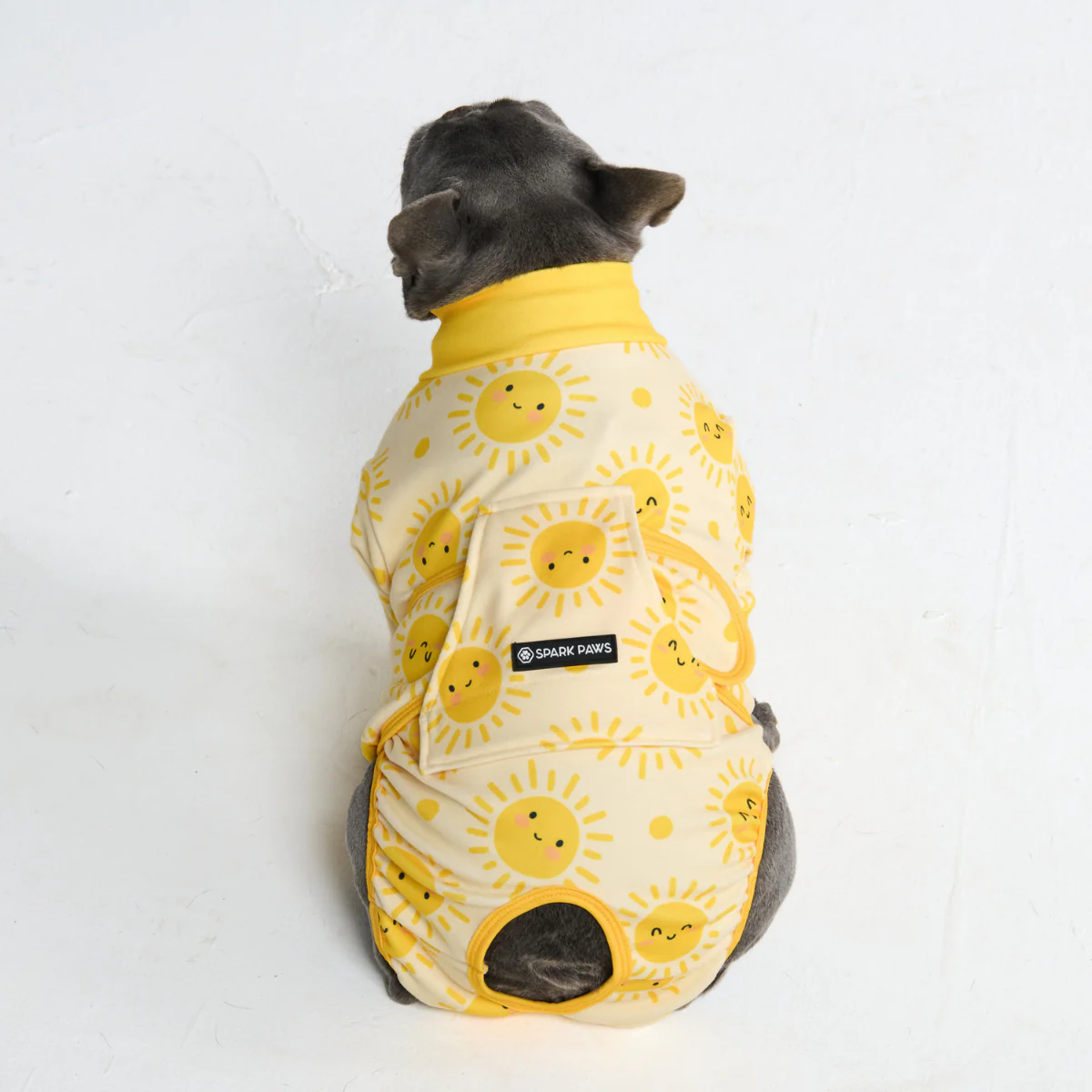 犬用術後ウェア - サンシャイン - Image 12