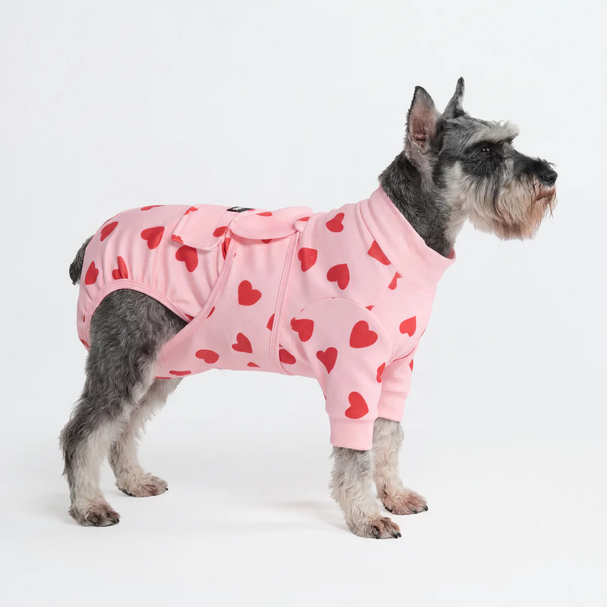 犬用術後ウェア - ピンクハート - Image 5