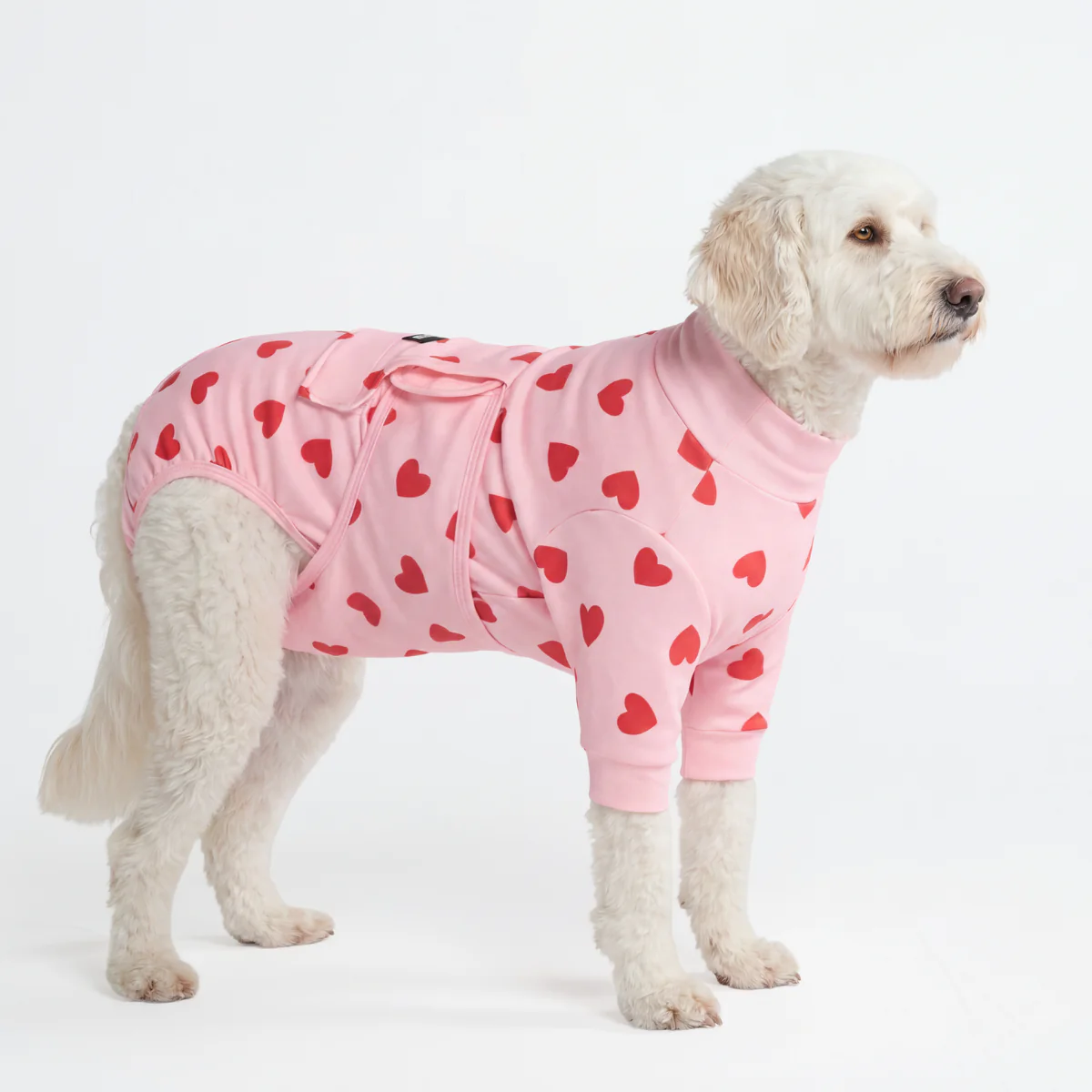 犬用術後ウェア - ピンクハート - Image 3