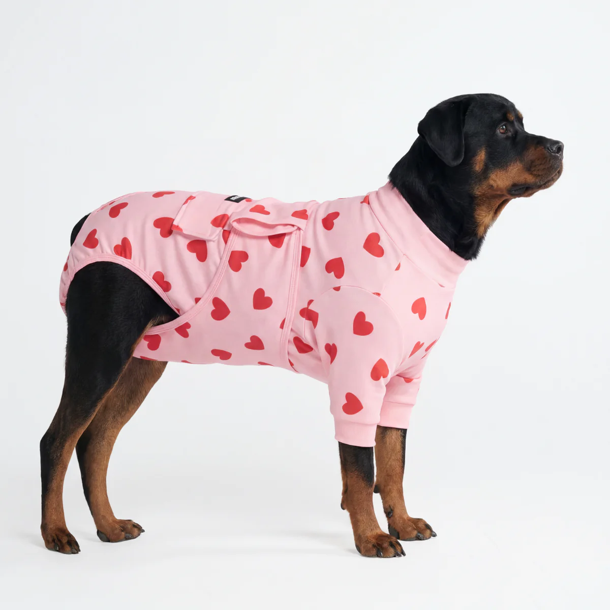 犬用術後ウェア - ピンクハート - Image 6