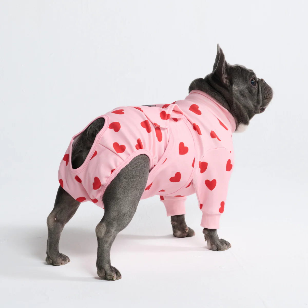 犬用術後ウェア - ピンクハート - Image 10