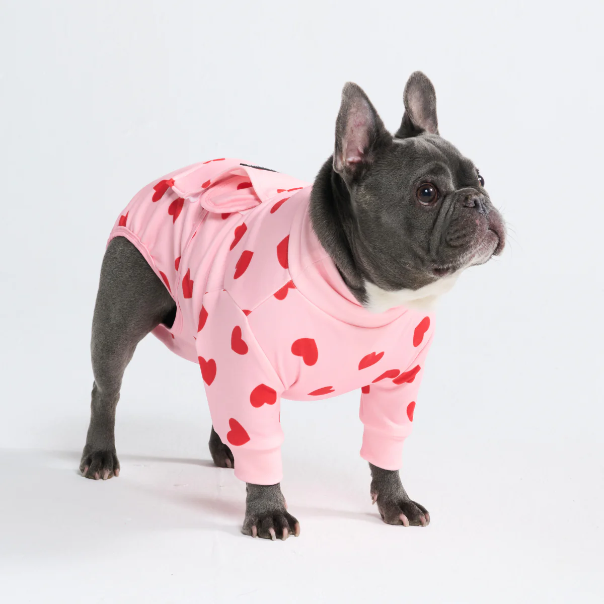 犬用術後ウェア - ピンクハート - Image 11