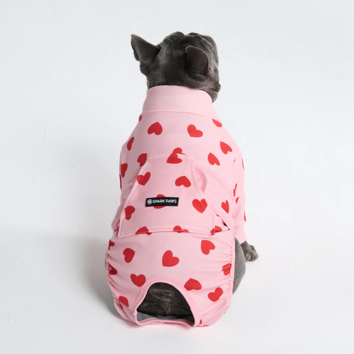 犬用術後ウェア - ピンクハート - Image 12