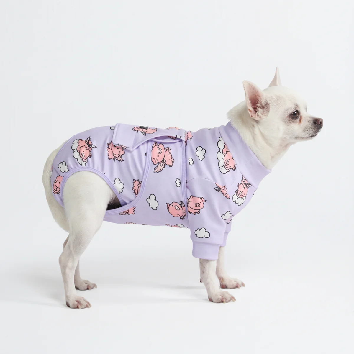 犬用術後ウェア- ホエン・ピッグス・フライ - Image 3