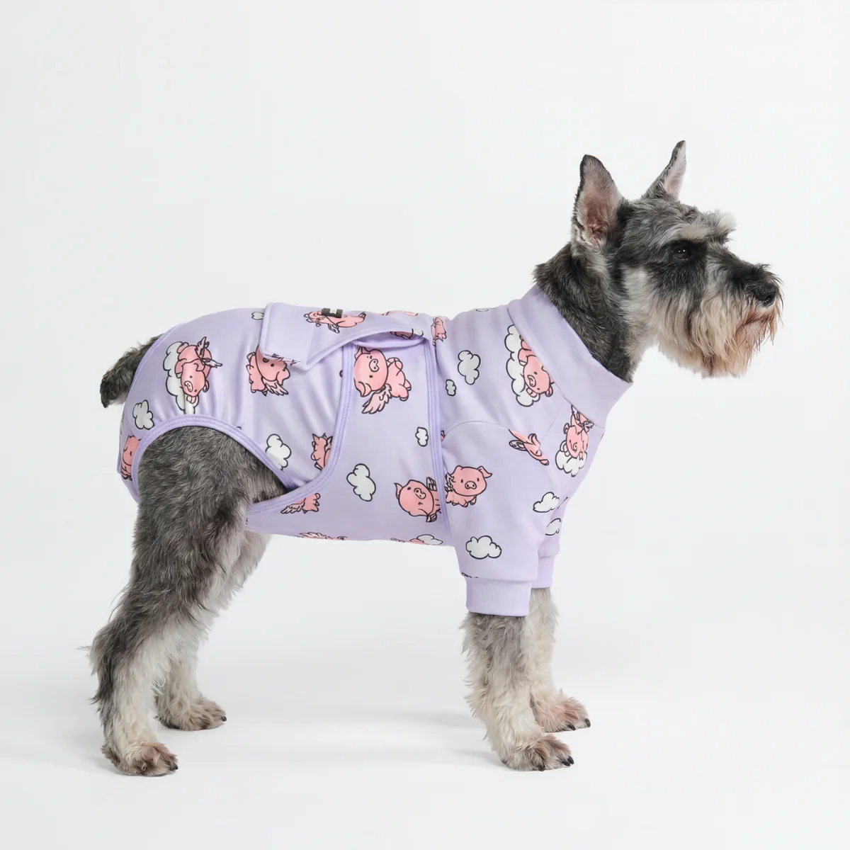 犬用術後ウェア- ホエン・ピッグス・フライ - Image 4