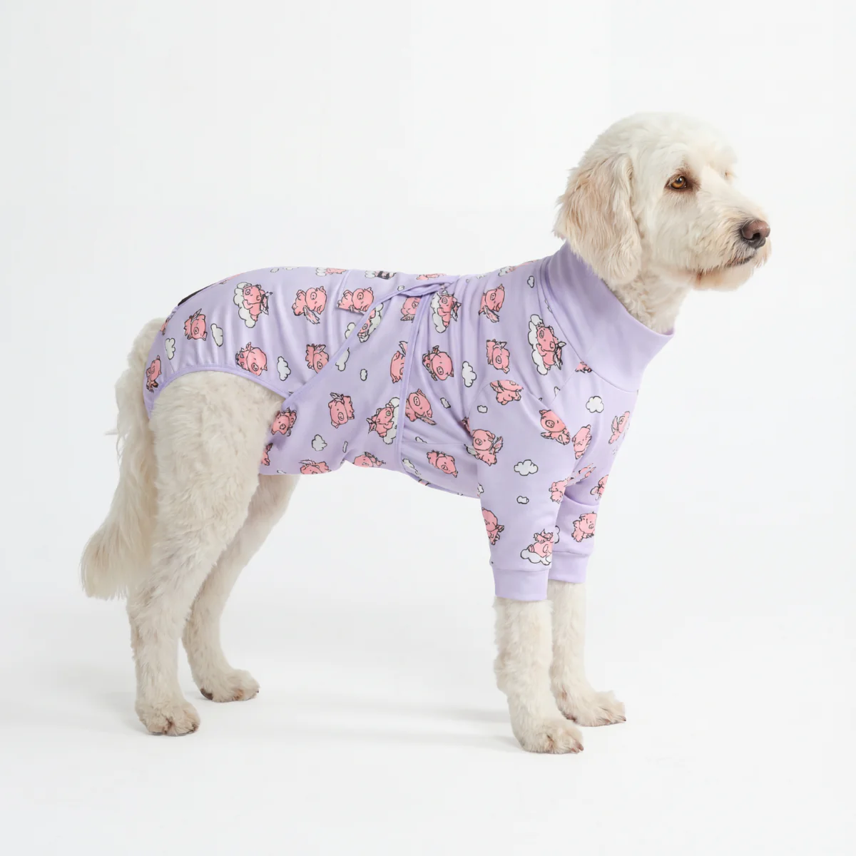 犬用術後ウェア- ホエン・ピッグス・フライ - Image 5