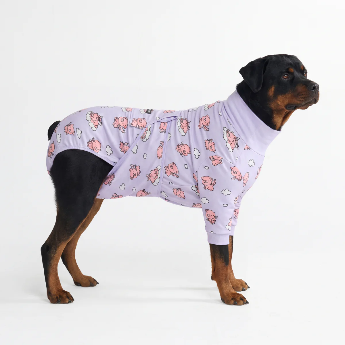 犬用術後ウェア- ホエン・ピッグス・フライ - Image 6