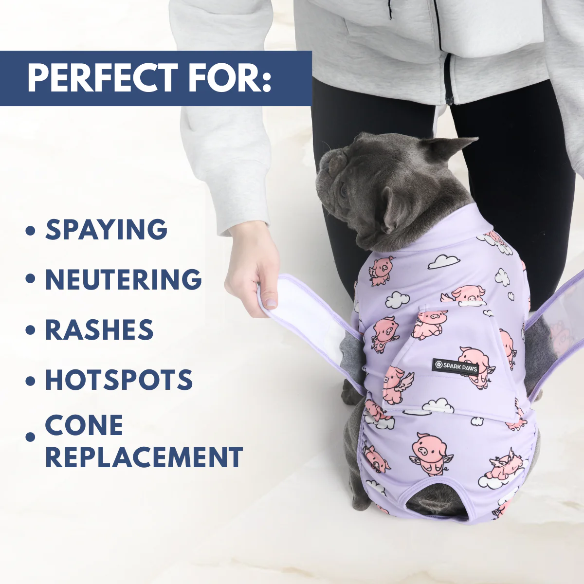 犬用術後ウェア- ホエン・ピッグス・フライ - Image 7