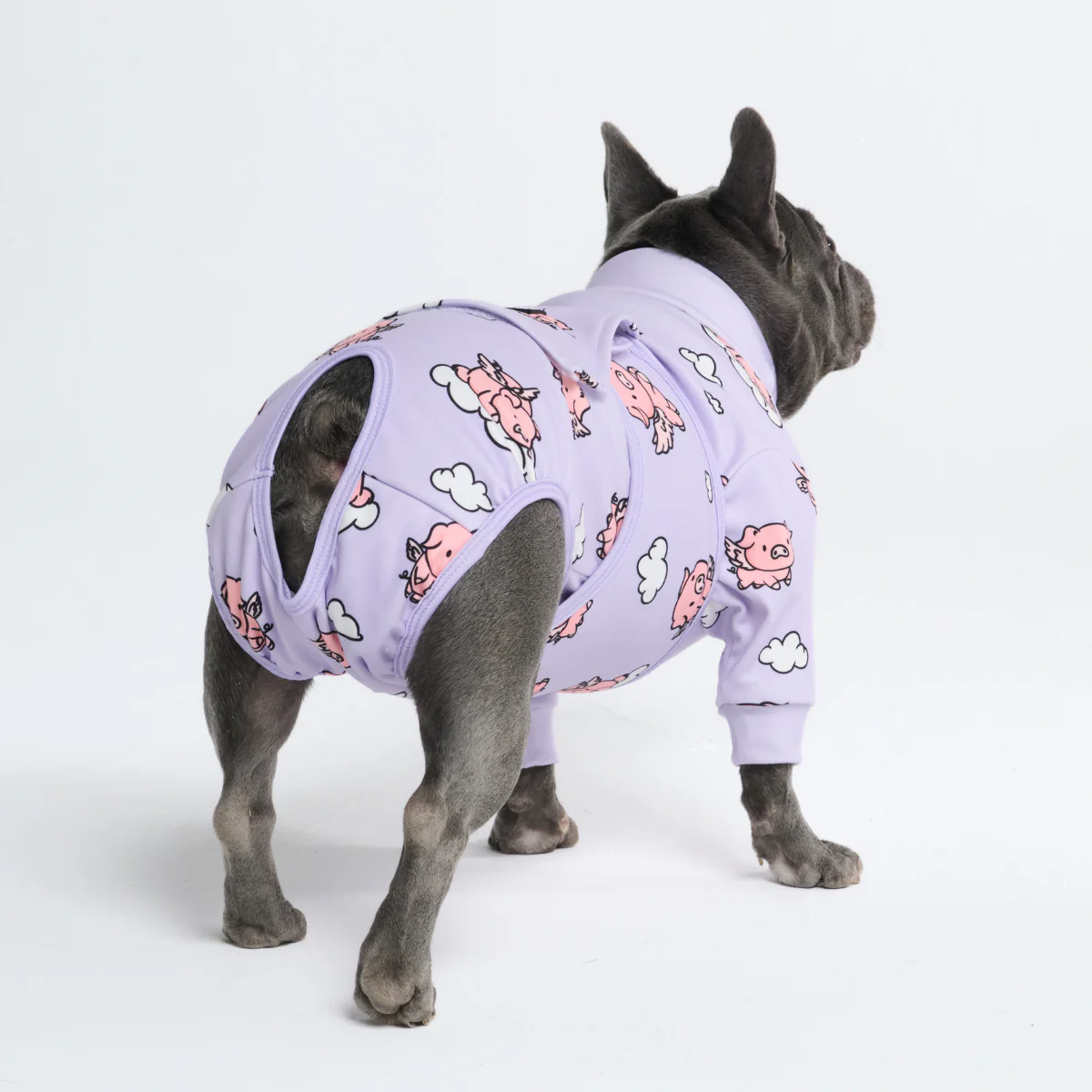 犬用術後ウェア- ホエン・ピッグス・フライ - Image 10