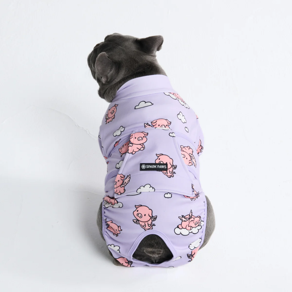 犬用術後ウェア- ホエン・ピッグス・フライ - Image 12
