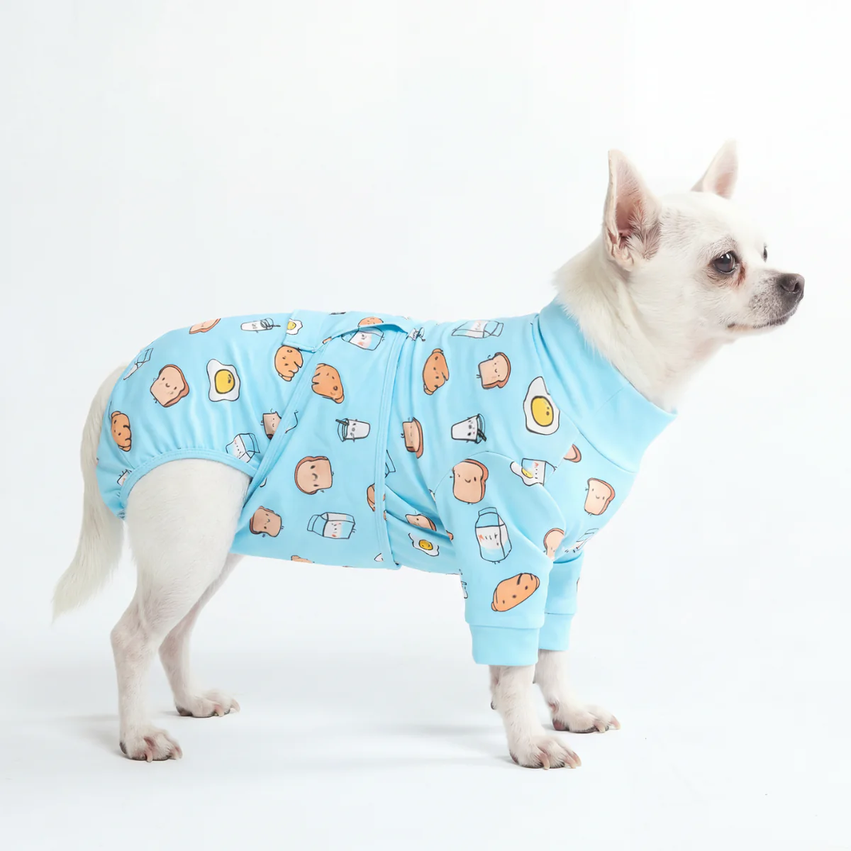 犬用術後ウェア - ブレックファストブルー - Image 3