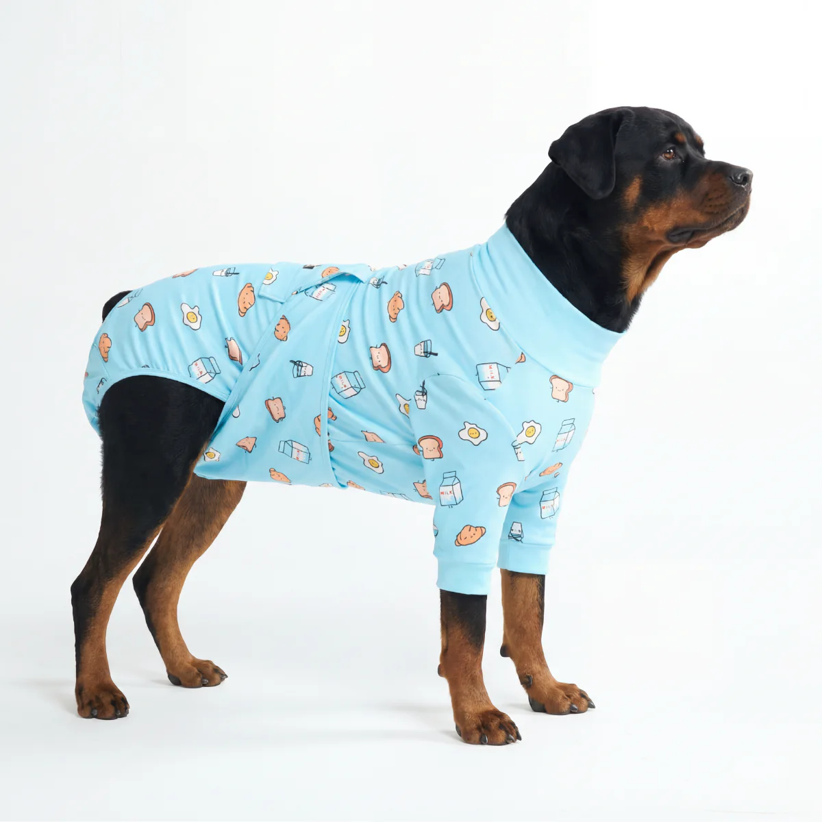 犬用術後ウェア - ブレックファストブルー - Image 6