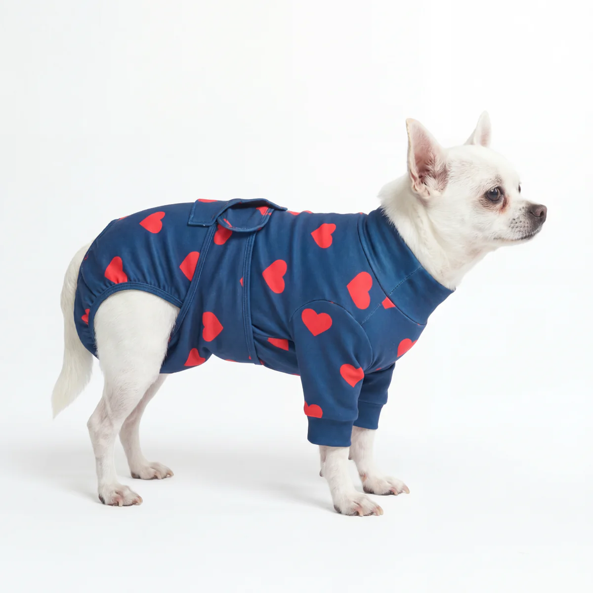 犬用術後ウェア - ハート - Image 4