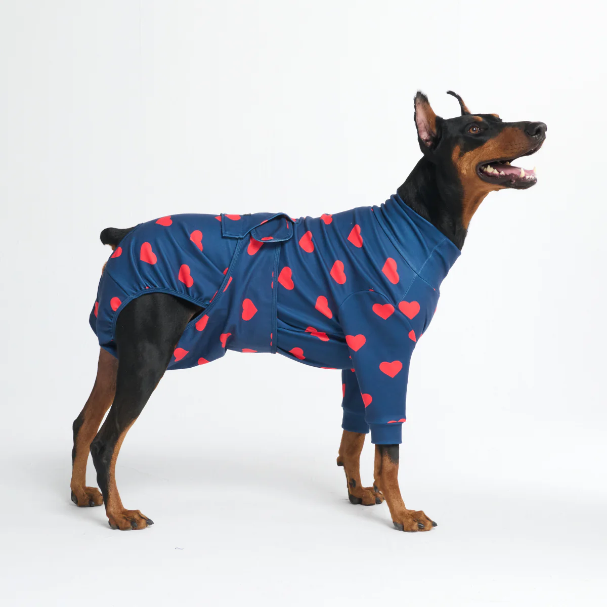 犬用術後ウェア - ハート - Image 5