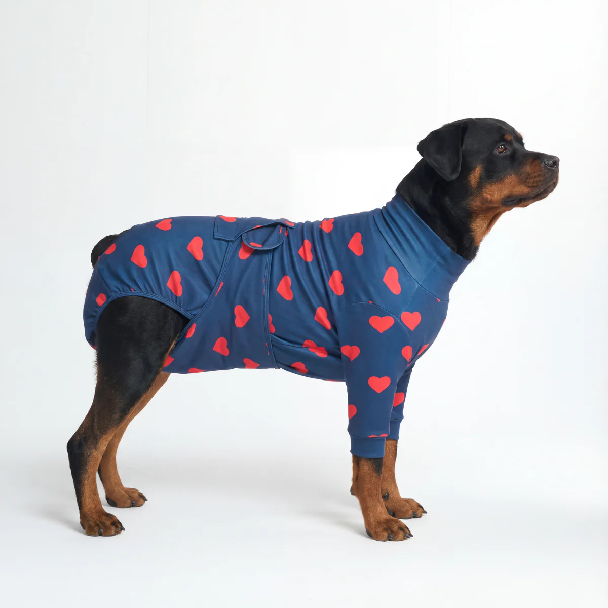 犬用術後ウェア - ハート - Image 6