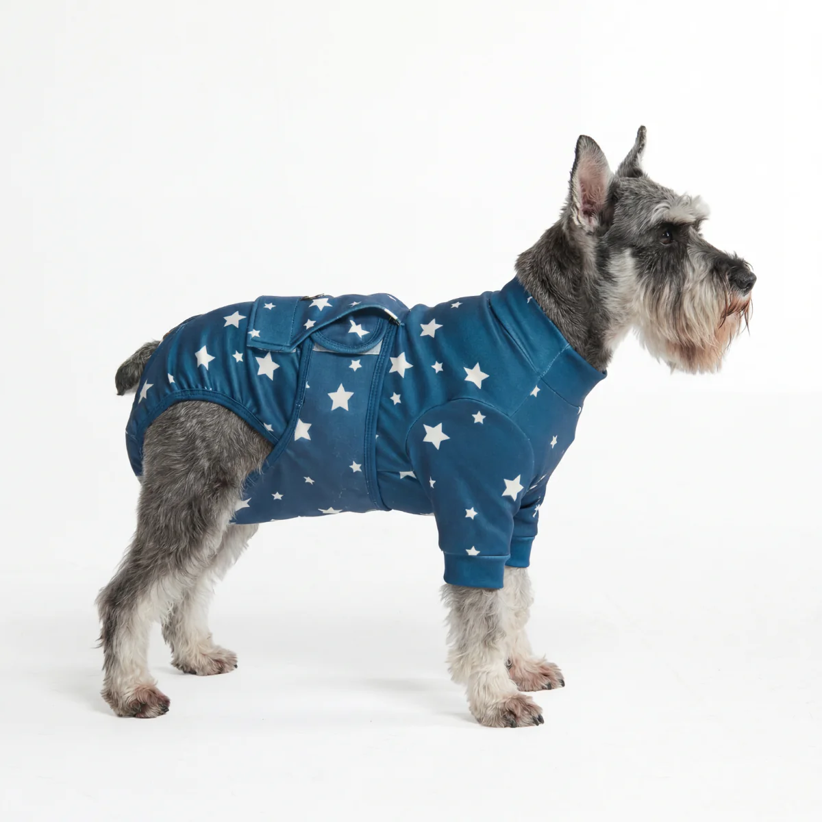 犬用術後ウェア - スター - Image 3