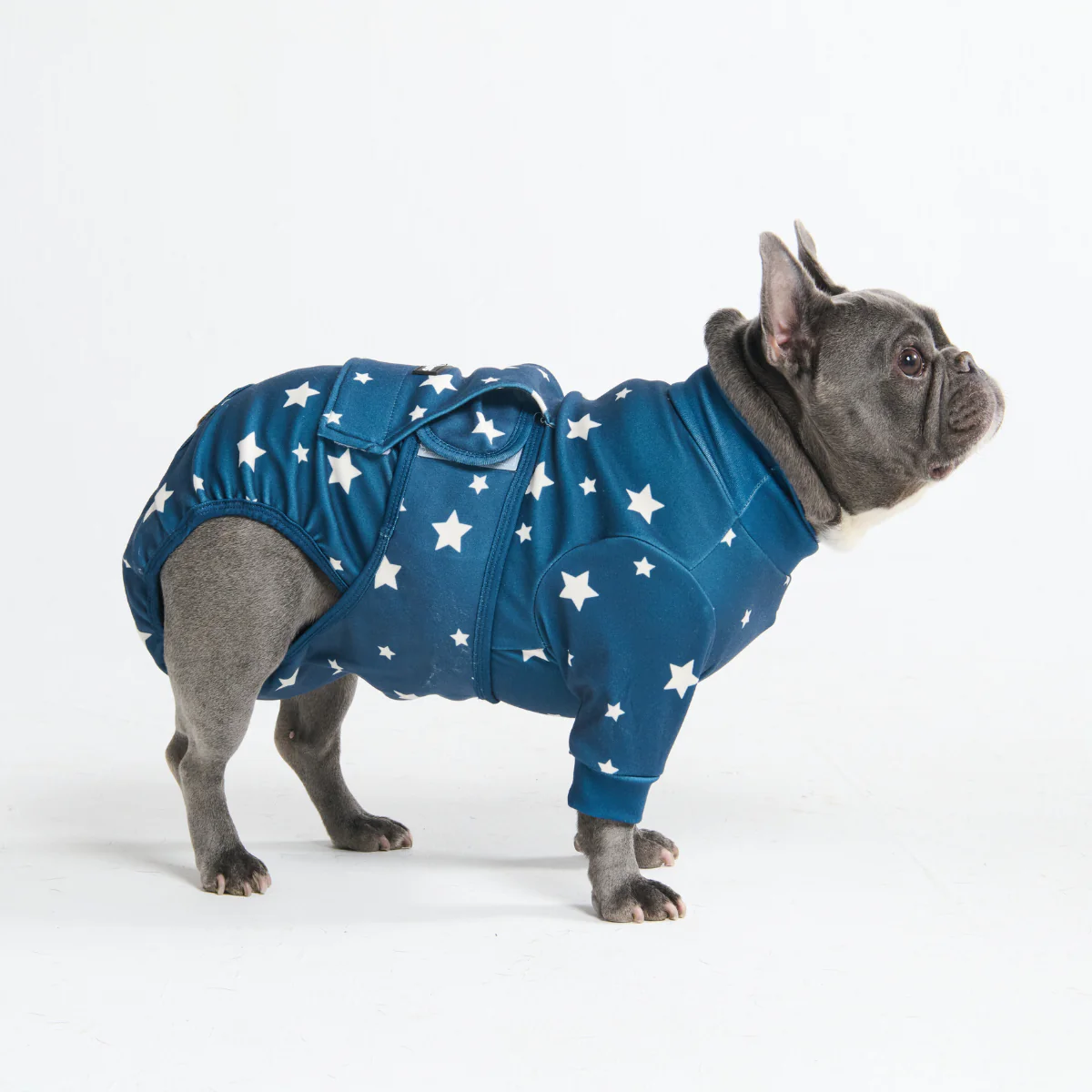 犬用術後ウェア - スター - Image 4