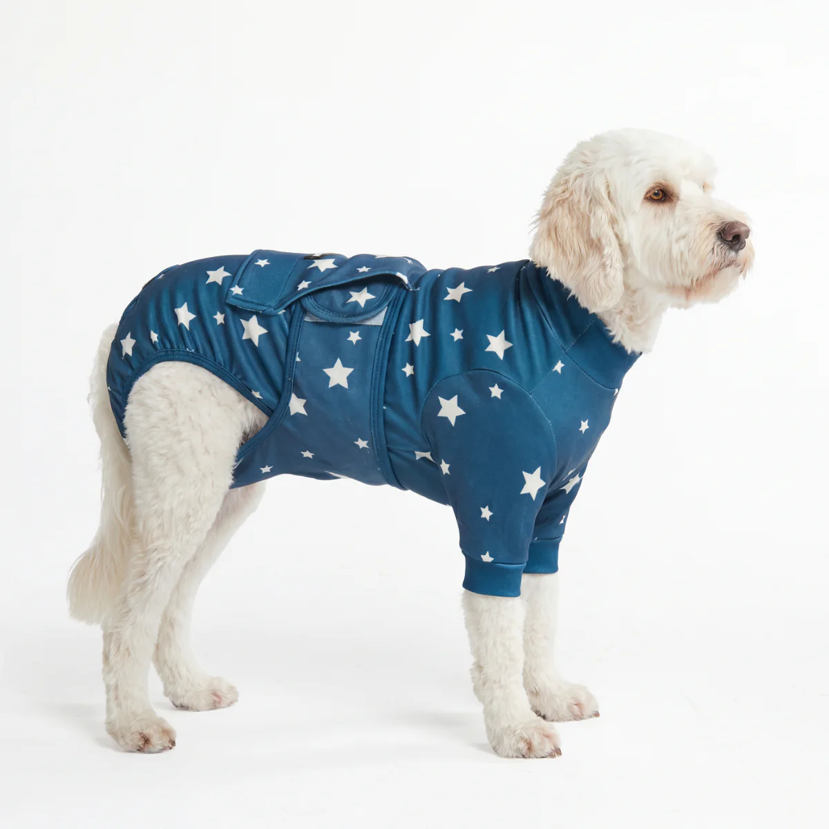 犬用術後ウェア - スター - Image 5