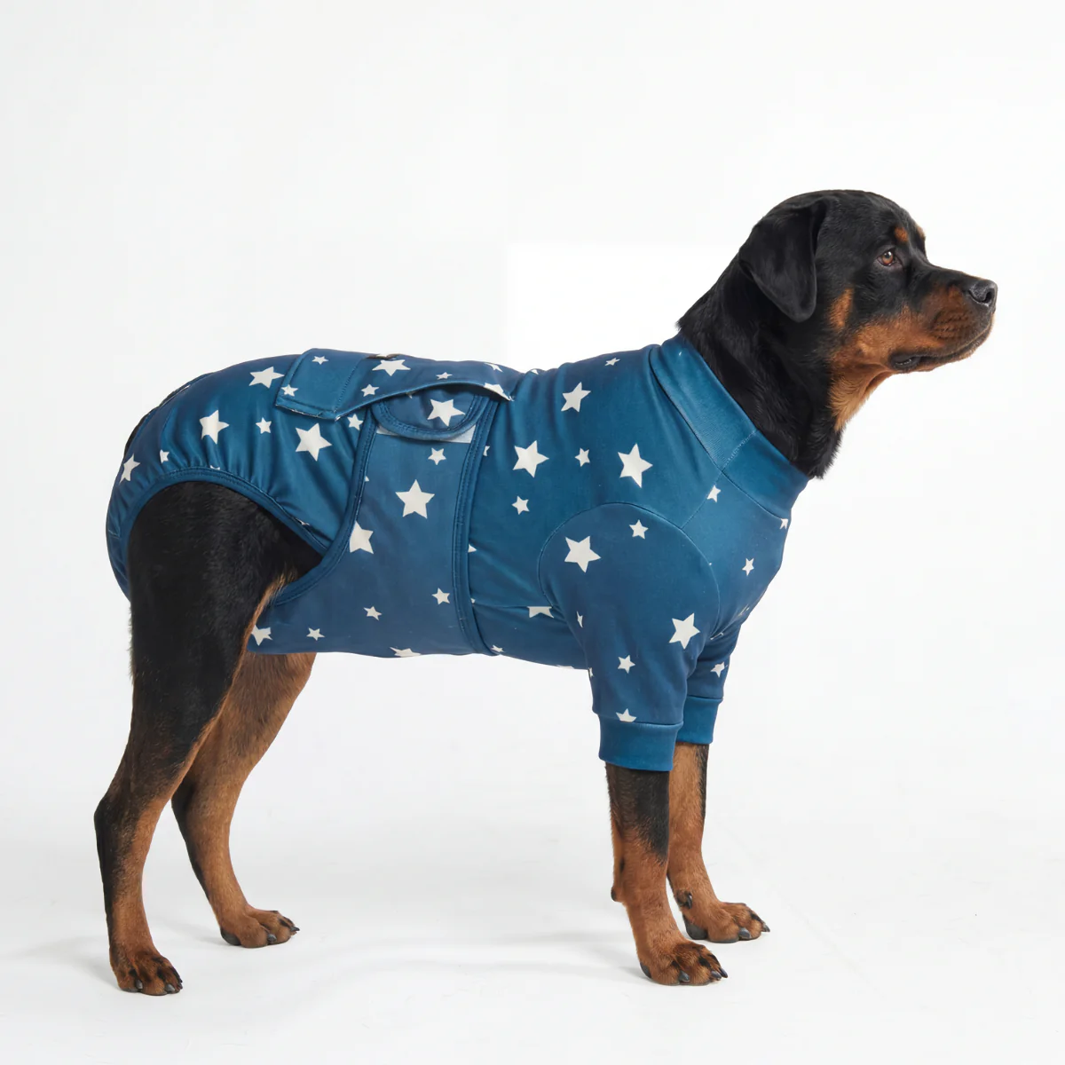 犬用術後ウェア - スター - Image 6