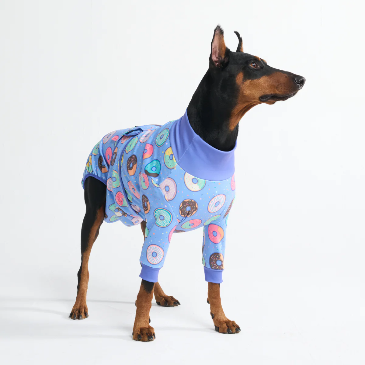 犬用術後ウェア(サージカルスーツ) - Image 84