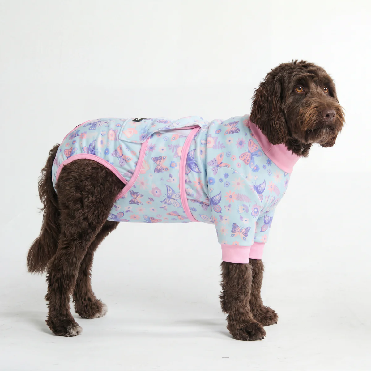 犬用術後ウェア - バタフライ - Image 3