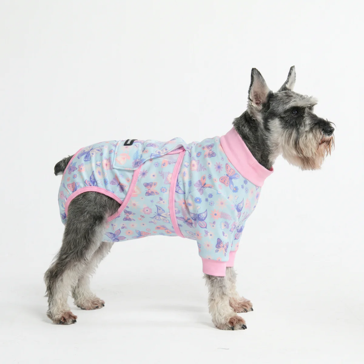 犬用術後ウェア - バタフライ - Image 4