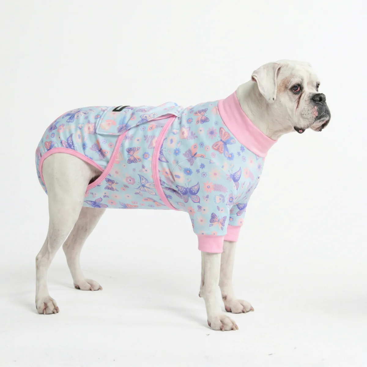 犬用術後ウェア - バタフライ - Image 5