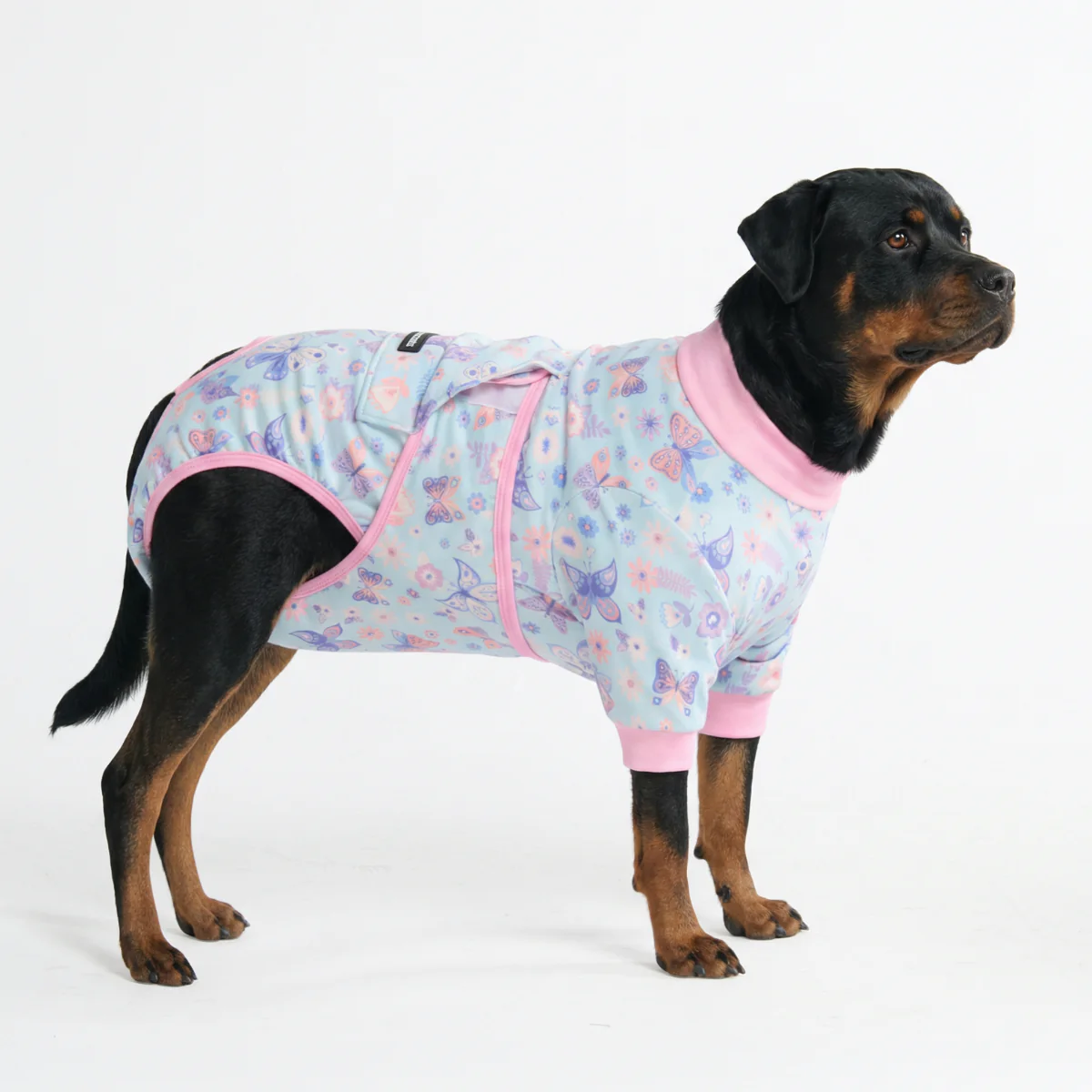 犬用術後ウェア - バタフライ - Image 6