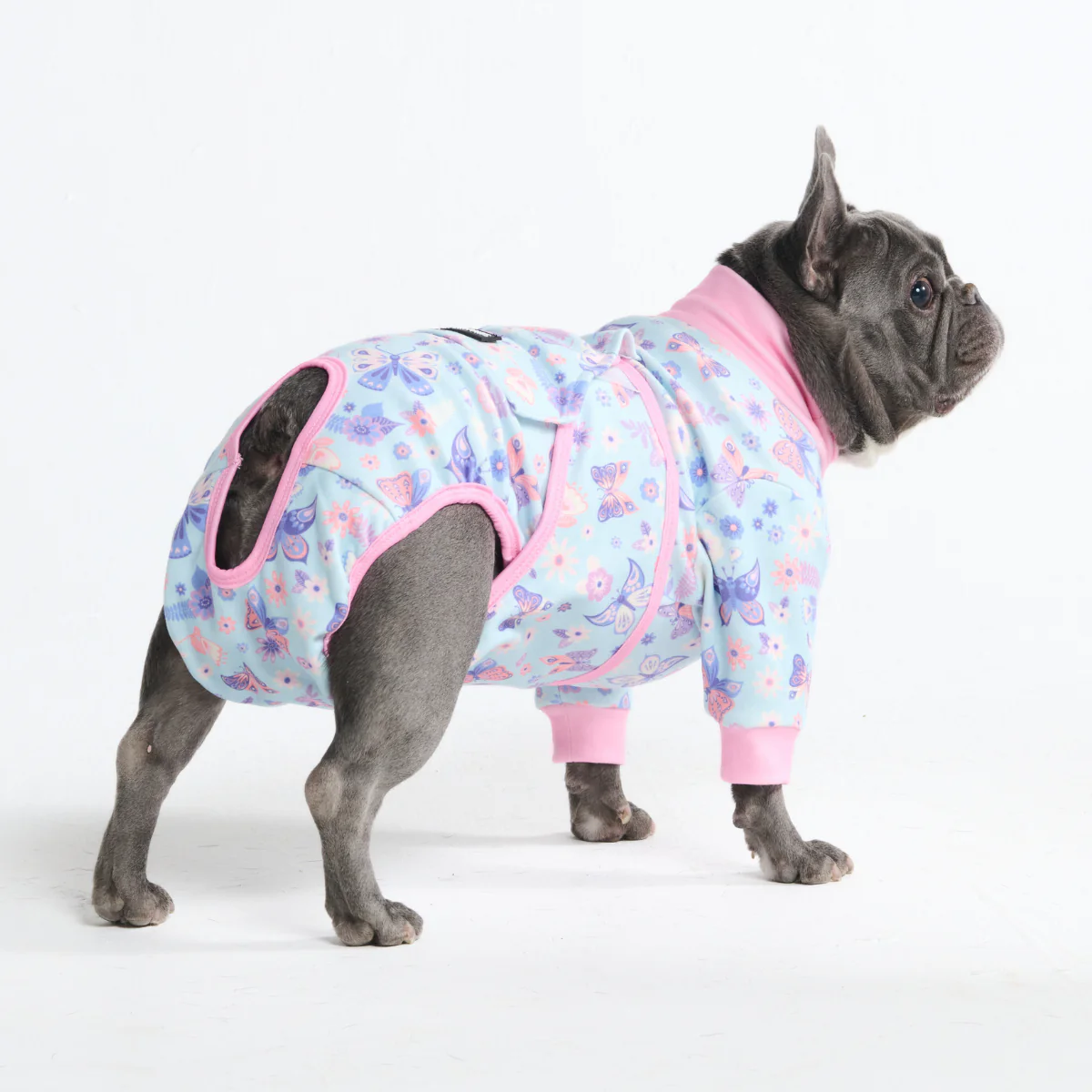 犬用術後ウェア - バタフライ - Image 10