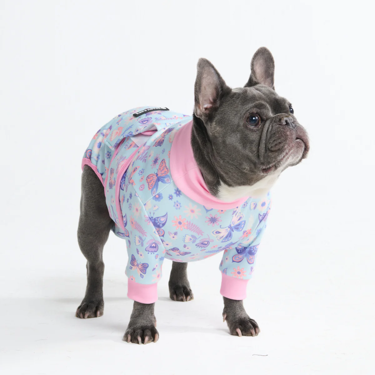 犬用術後ウェア - バタフライ - Image 11