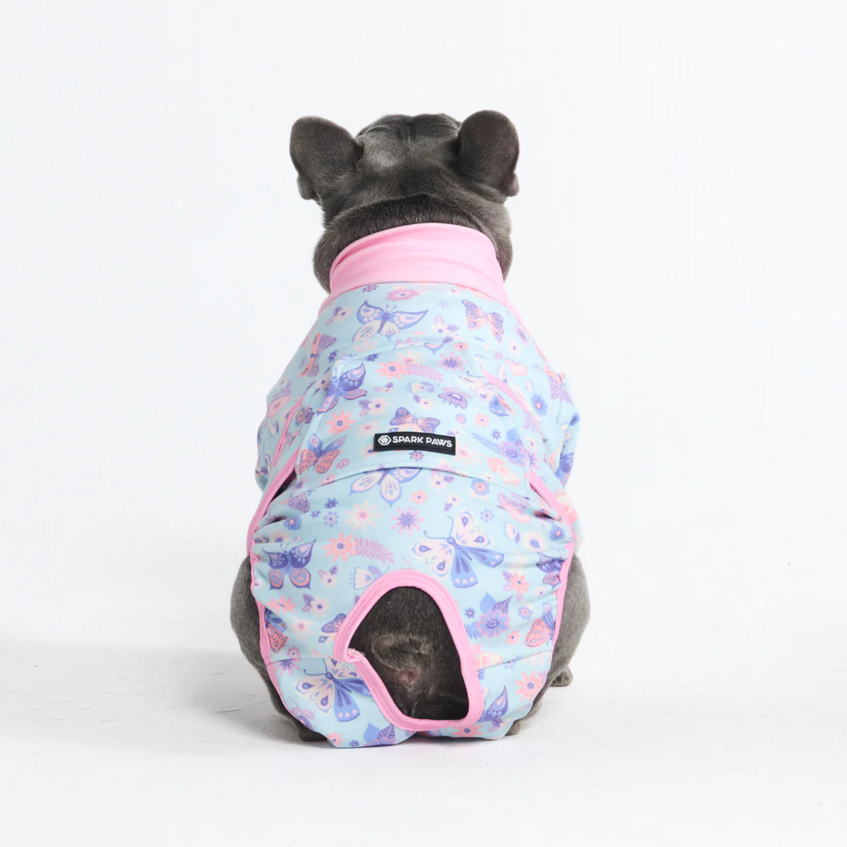 犬用術後ウェア - バタフライ - Image 12
