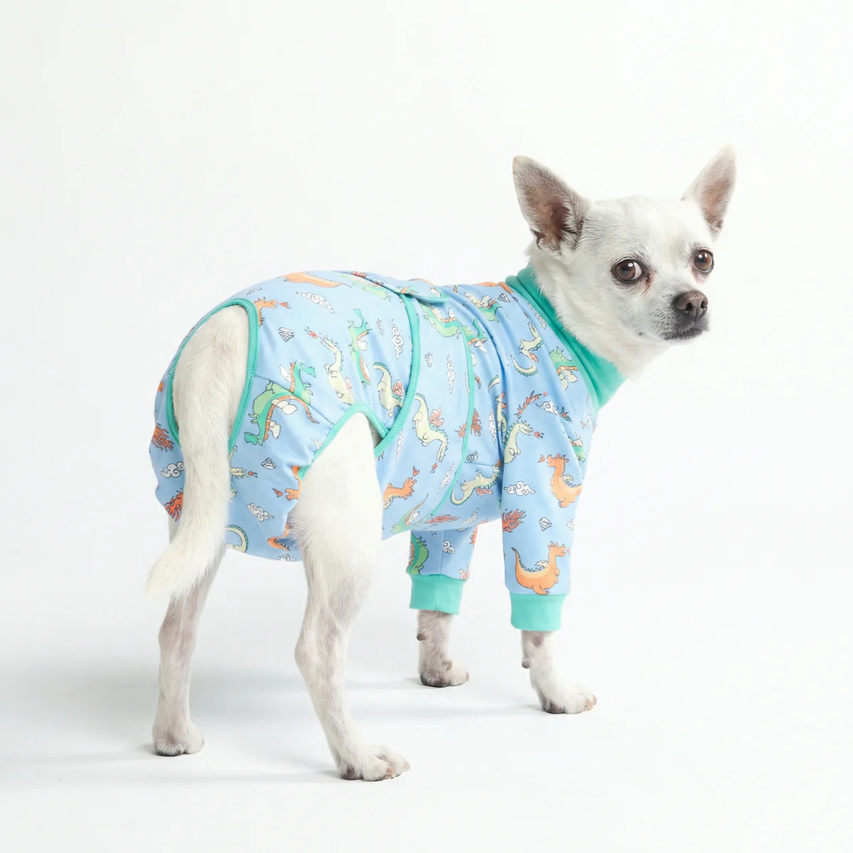 犬用術後ウェア - ドラゴン - Image 3