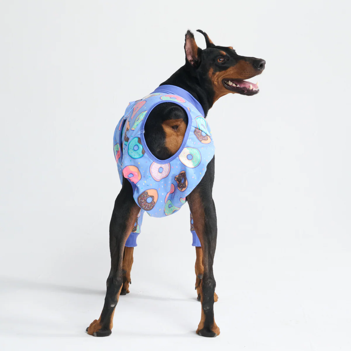 犬用術後服(2枚セット)– ブレックファストブルー&ドーナツ - Image 12