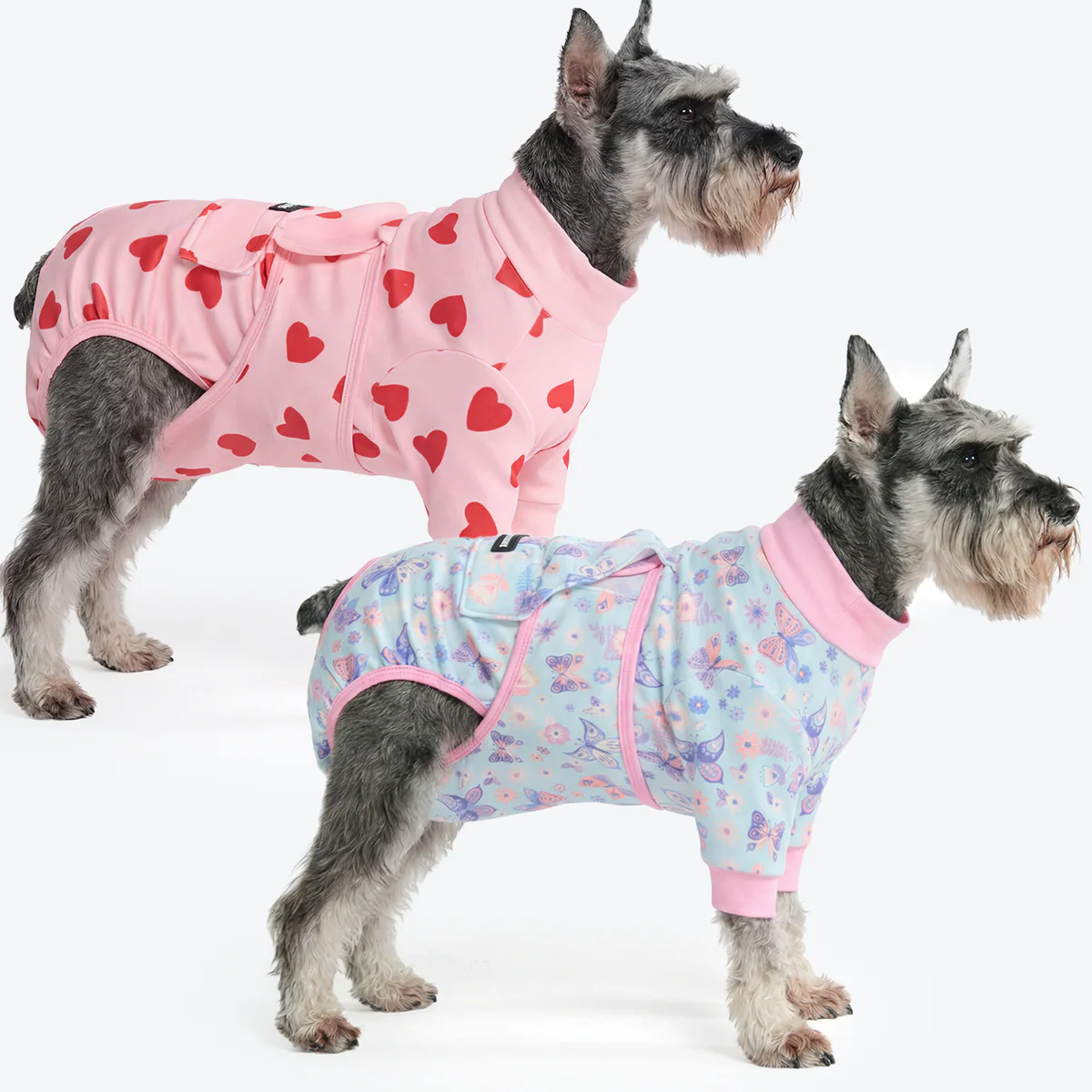 犬用術後服(2枚セット)– バタフライ&ピンクハーツ - Image 3