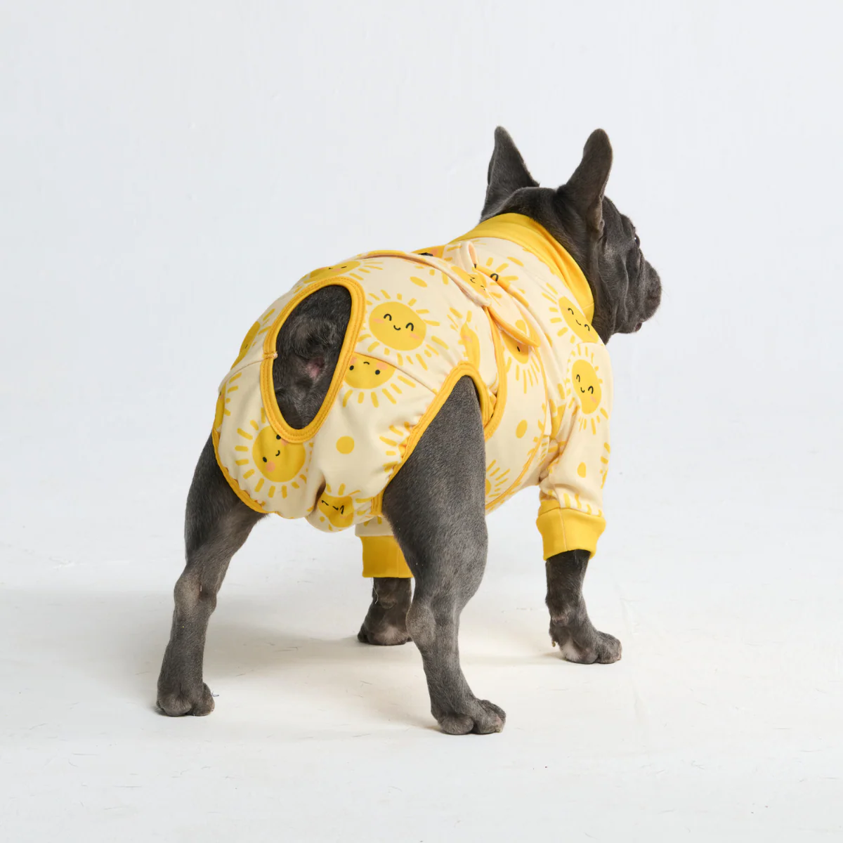 犬用術後ウェア（サージカルスーツ） - Image 10