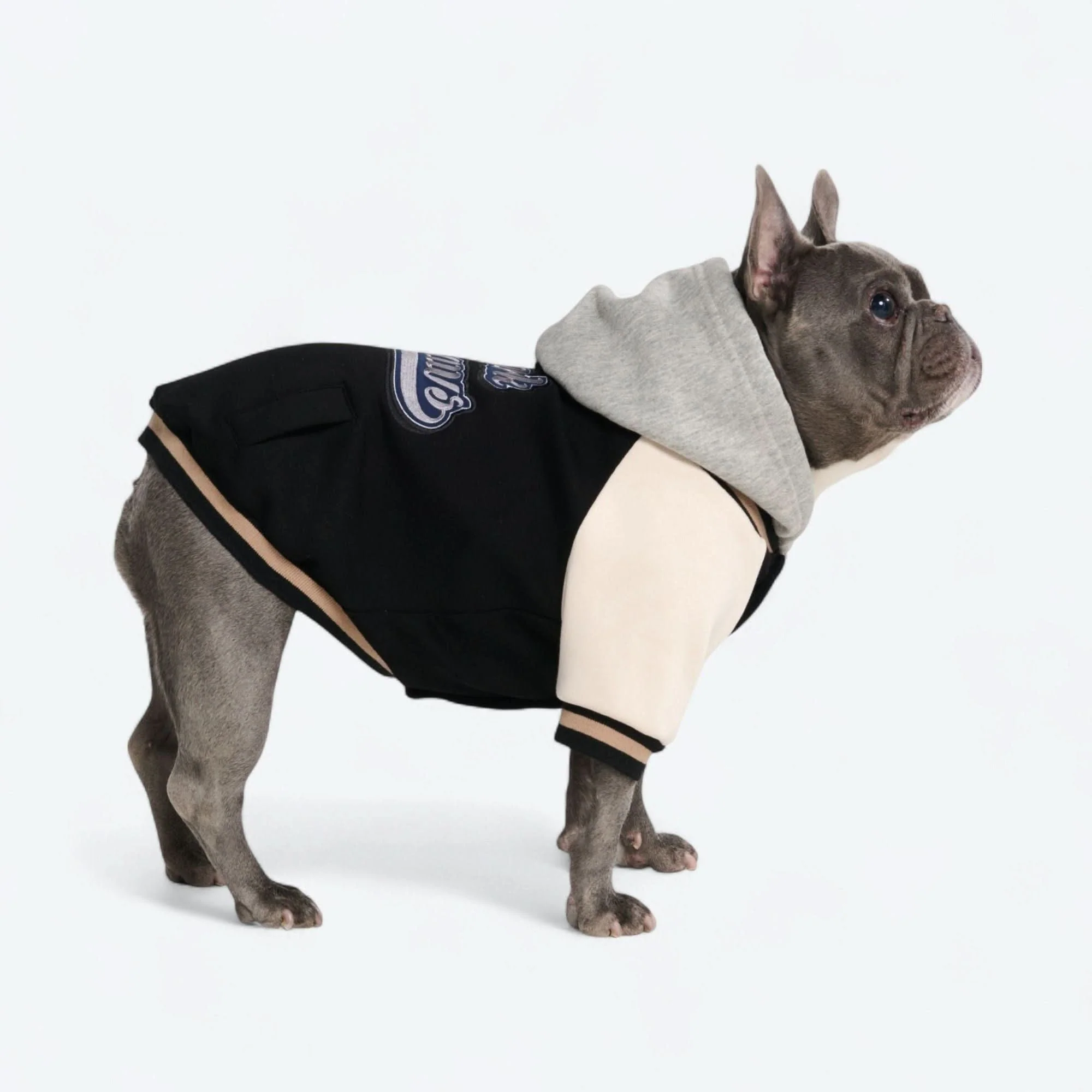 犬用バーシティジャケット - ブラック - Image 5