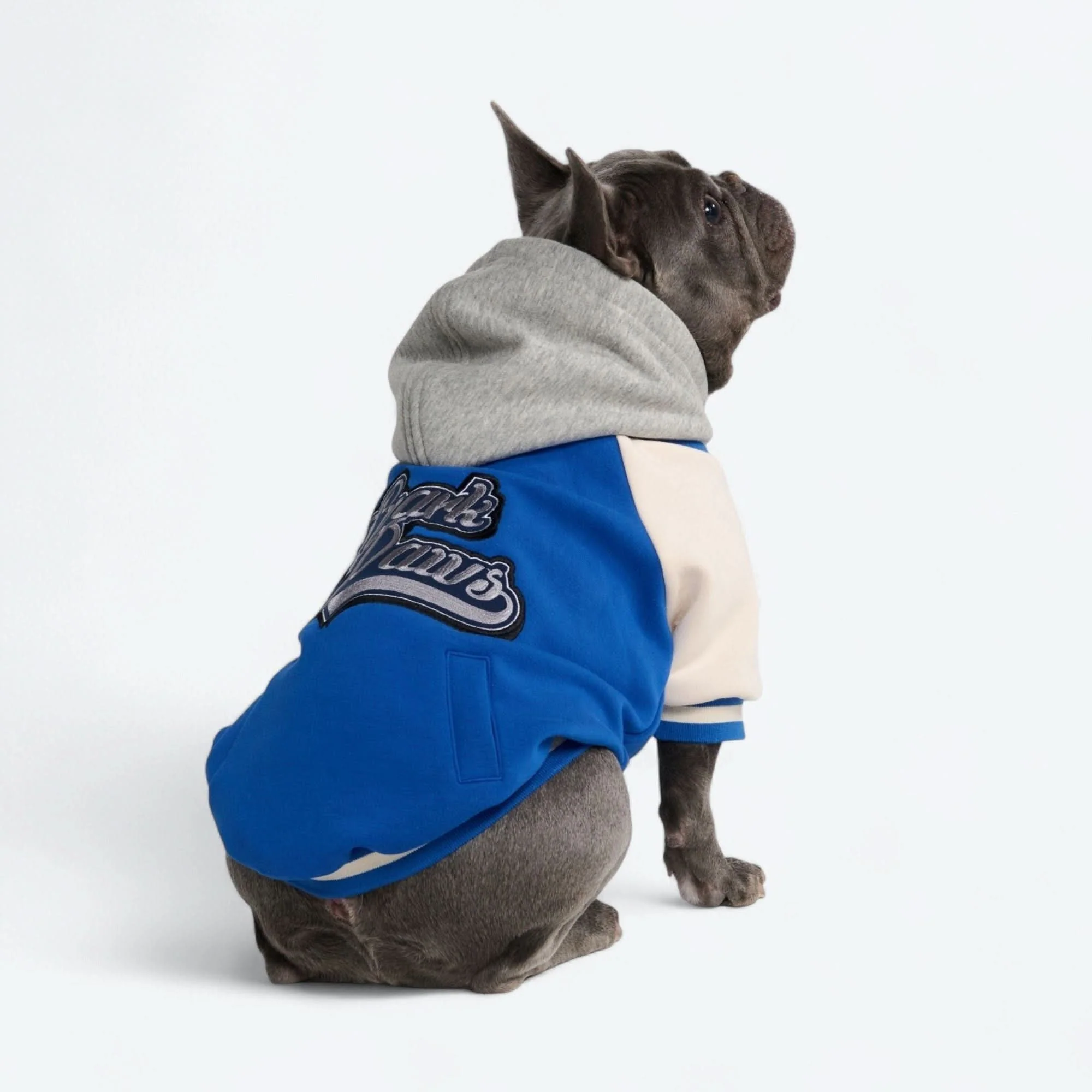 犬用バーシティジャケット - ブルー - Image 3