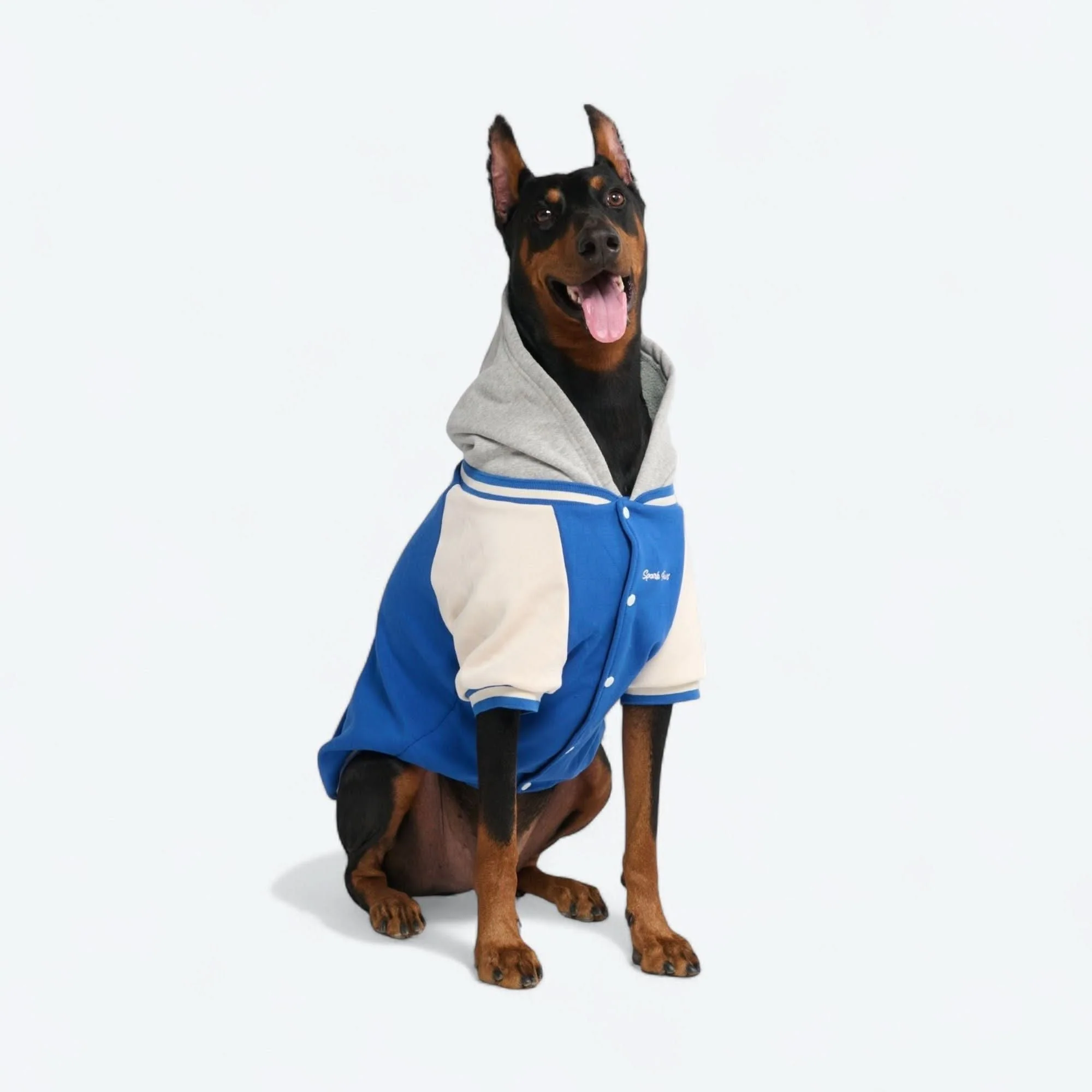 犬用バーシティジャケット - ブルー - Image 4