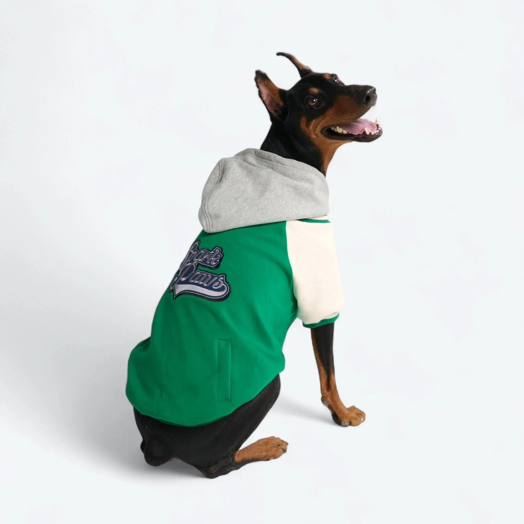 犬用バーシティジャケット - グリーン - Image 3