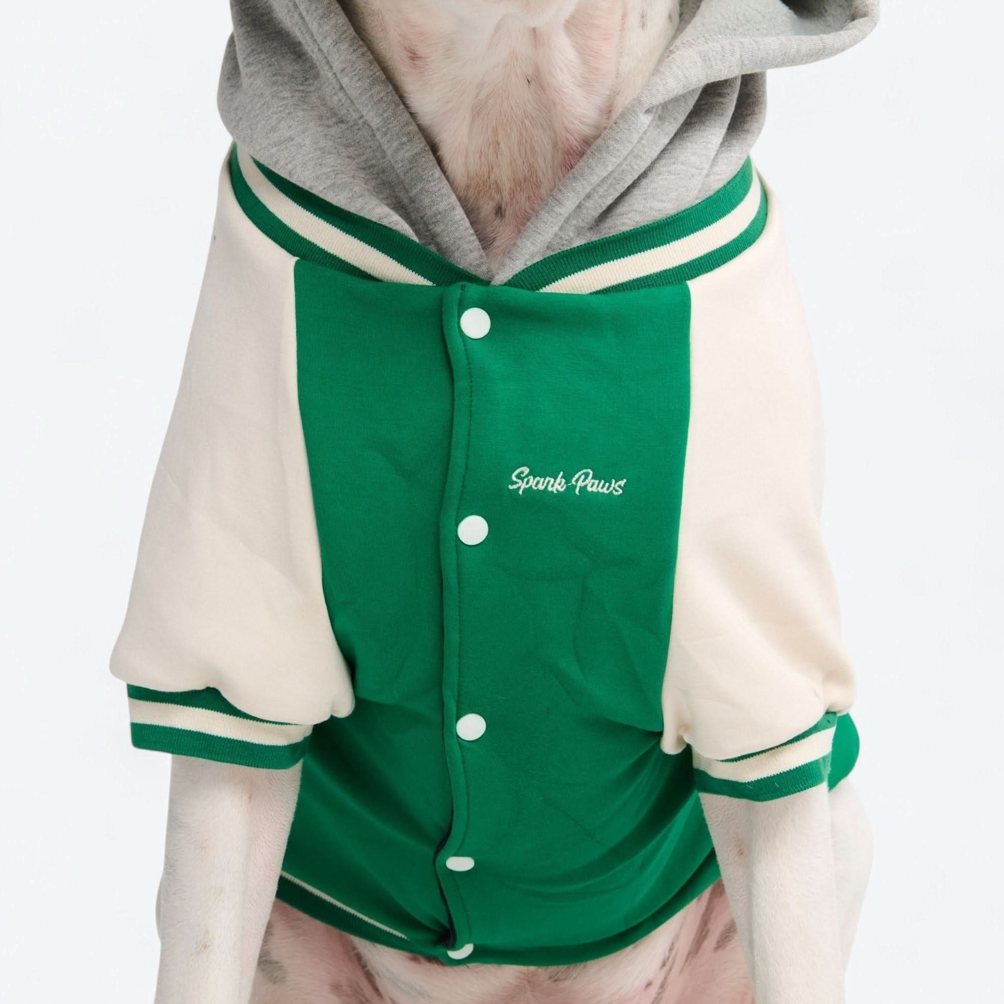 犬用バーシティジャケット - グリーン - Image 9