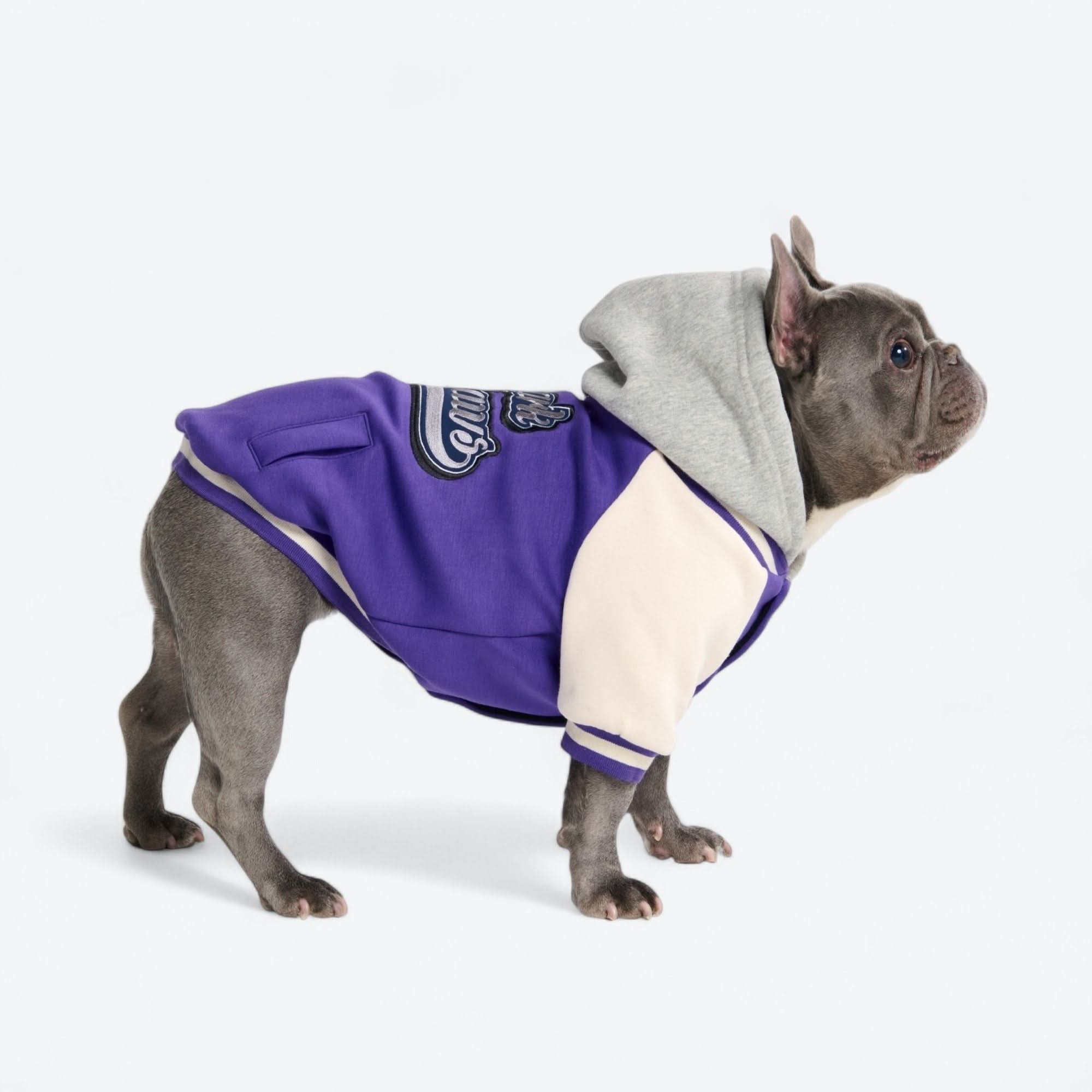 犬用バーシティジャケット - パープル - Image 5