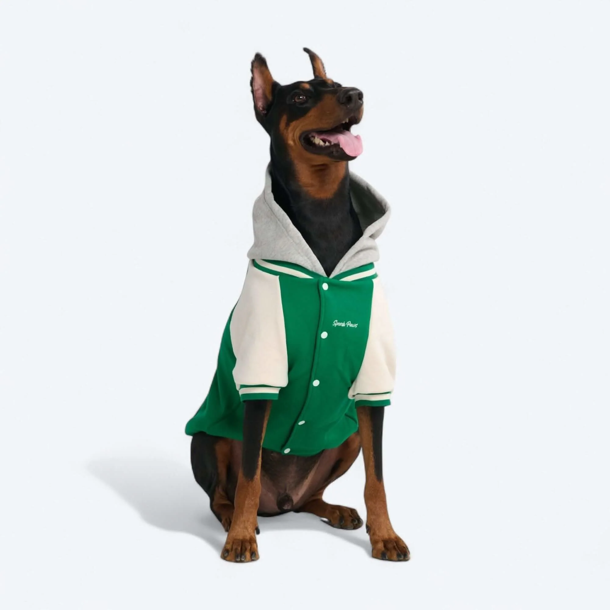犬用バーシティ ジャケット - Image 14