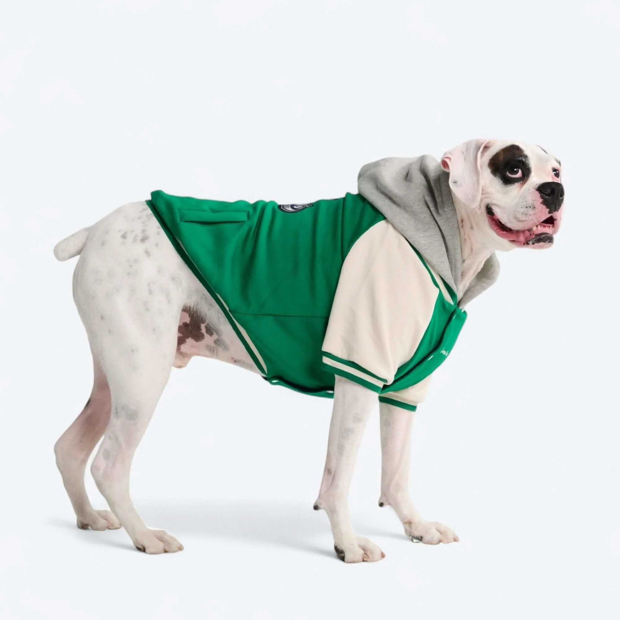 犬用バーシティ ジャケット - Image 20