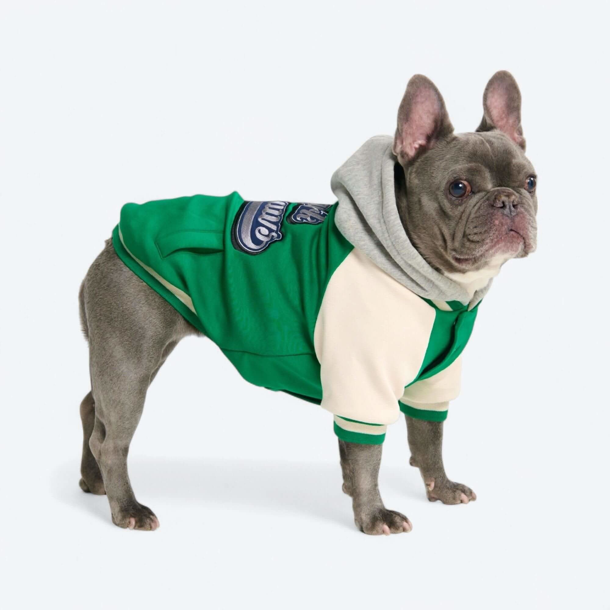 犬用バーシティ ジャケット - Image 21